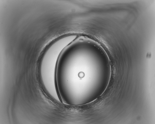 X0000094230684200711021203