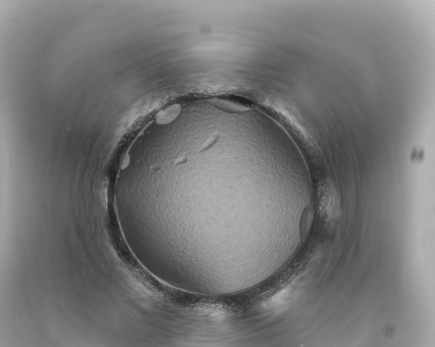 X0000094230685200711021203