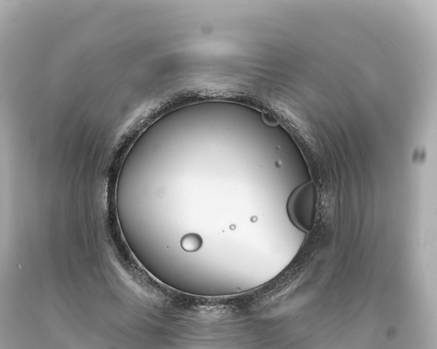 X0000094230686200711021203