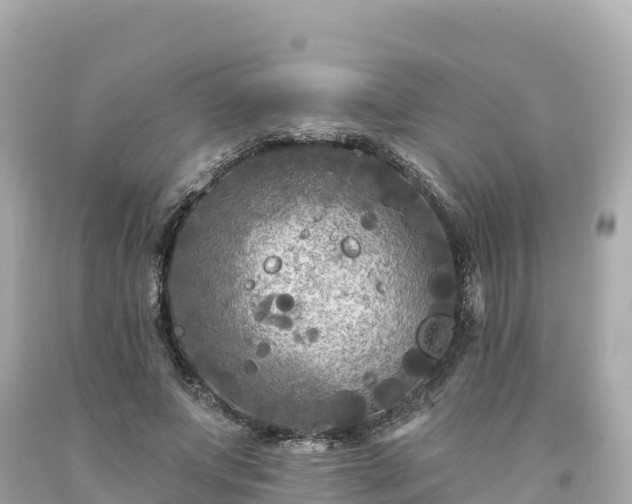 X0000094230687200711021203