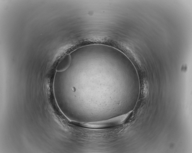 X0000094230688200711021203