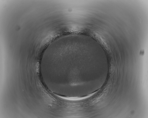 X0000094230689200711021203