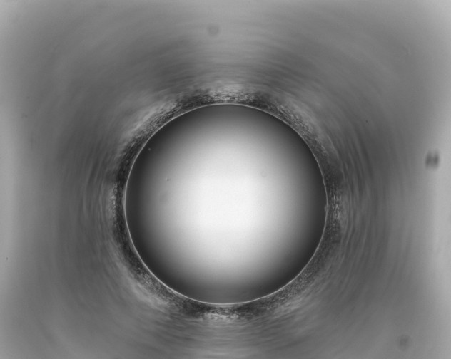 X0000094230690200711021203