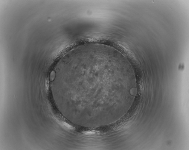 X0000094230691200711021203