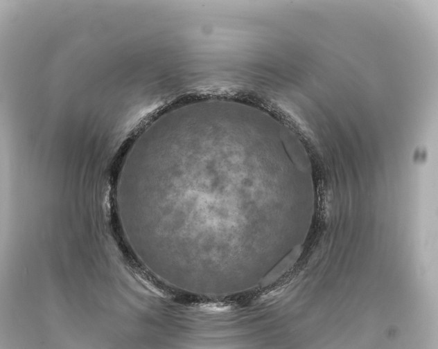 X0000094230692200711021203