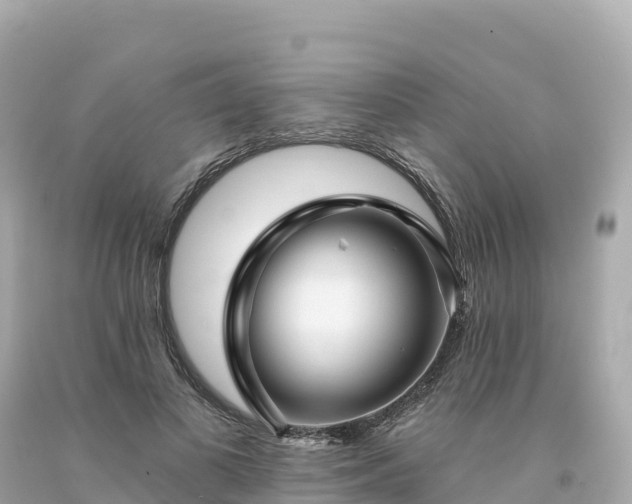 X0000094230693200711021203