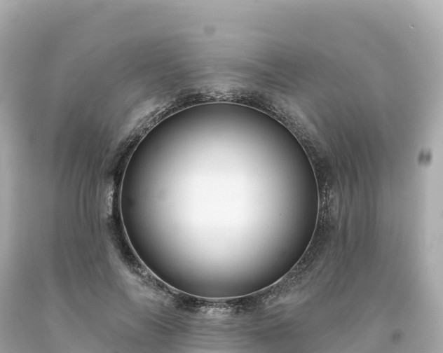 X0000094230694200711021203