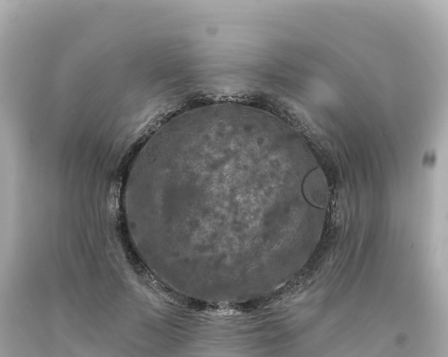 X0000094230695200711021203