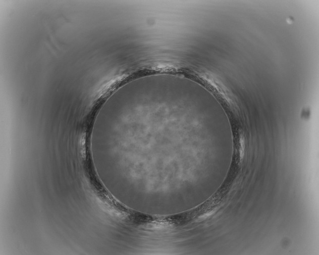 X0000094230696200711021203