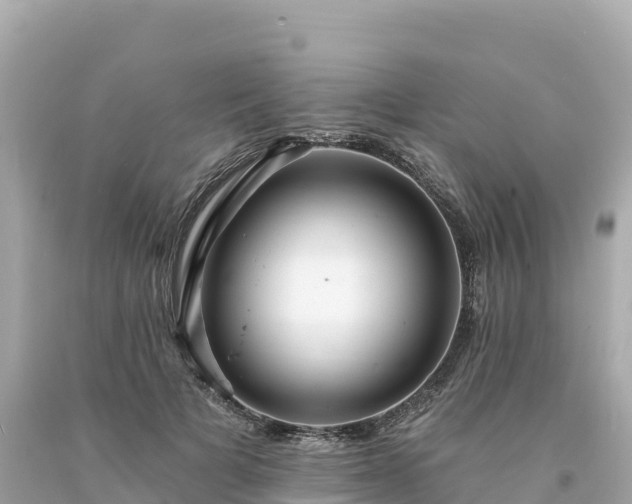 X0000094230697200711021203