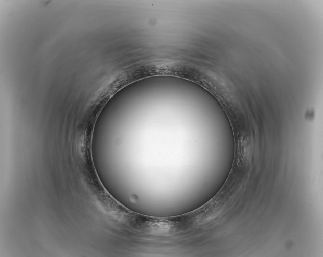 X0000094230698200711021203