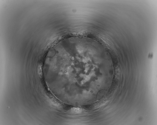 X0000094230699200711021203