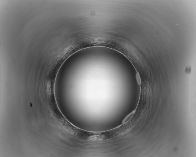 X0000094230700200711021203