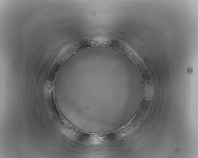 X0000094230701200711021203