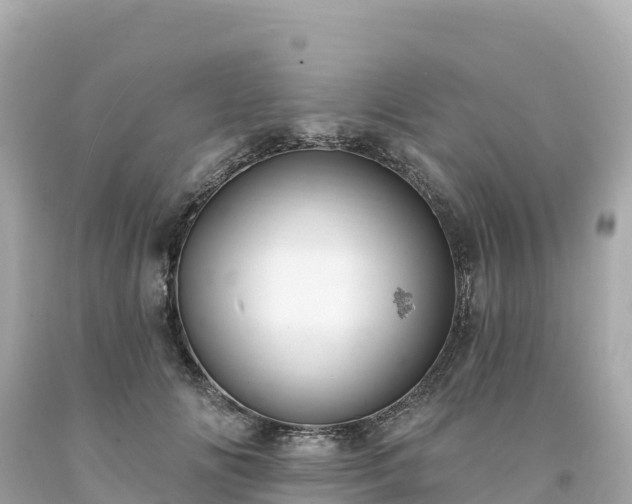 X0000094230702200711021203