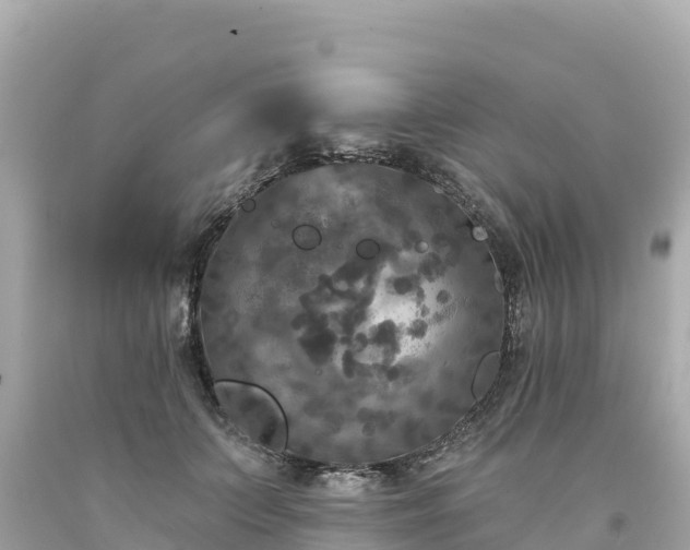 X0000094230703200711021203