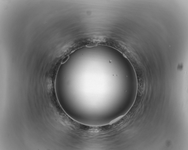 X0000094230704200711021203