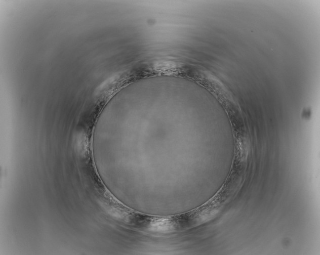 X0000094230705200711021203