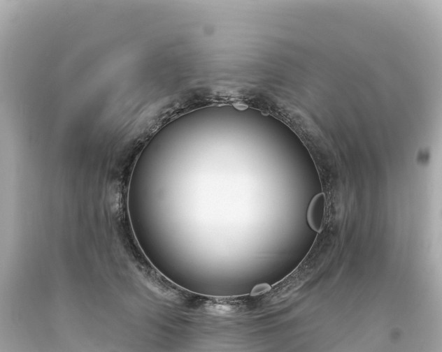 X0000094230706200711021203