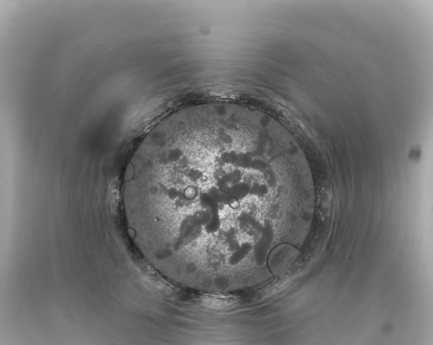 X0000094230707200711021203