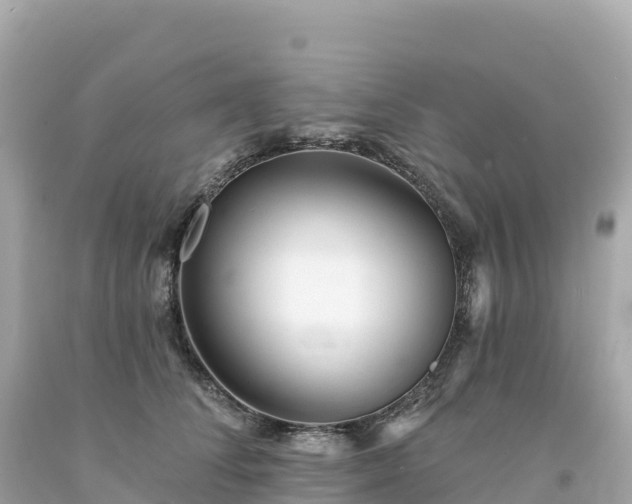 X0000094230708200711021203