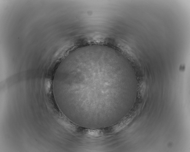 X0000094230709200711021203