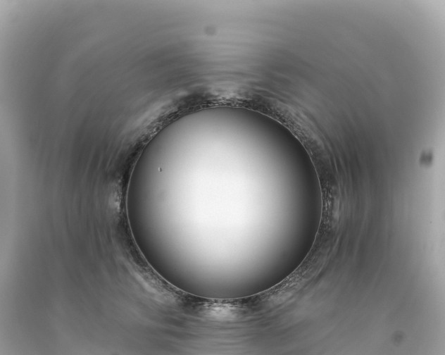 X0000094230710200711021203