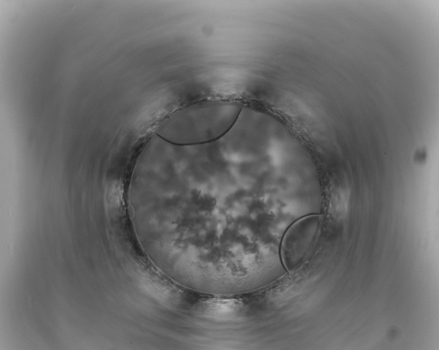 X0000094230711200711021203