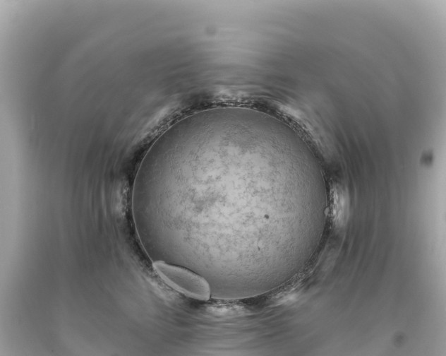 X0000094230712200711021203