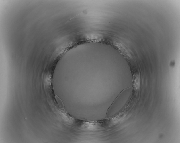 X0000094230713200711021203