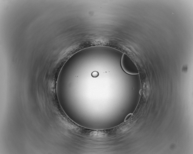 X0000094230714200711021203