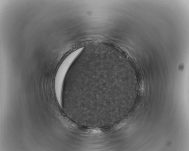 X0000094230715200711021203