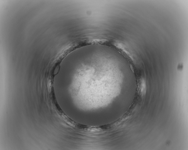 X0000094230716200711021203