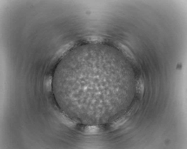 X0000094230717200711021203