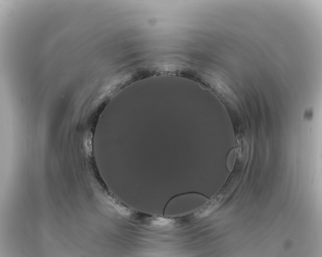 X0000094230718200711021203