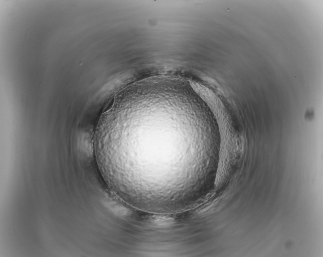 X0000094230719200711021203