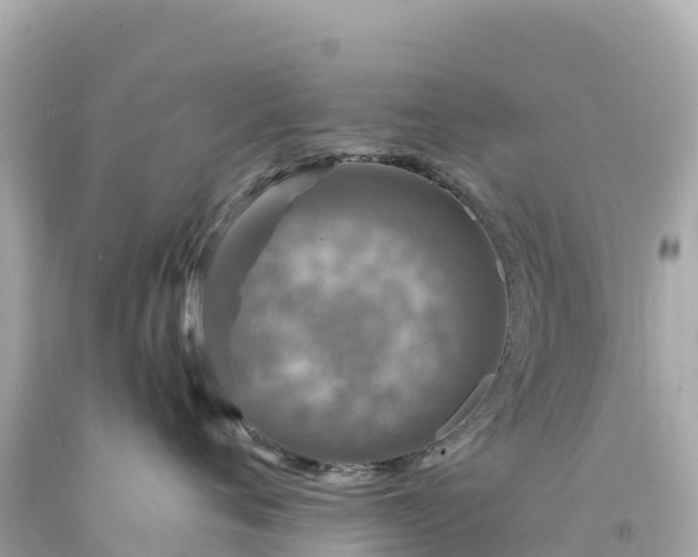 X0000094230720200711021203