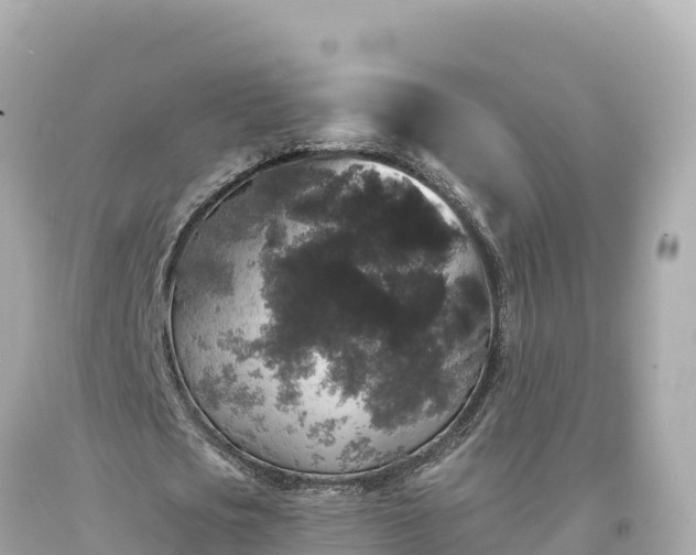 X0000094230721200711021202