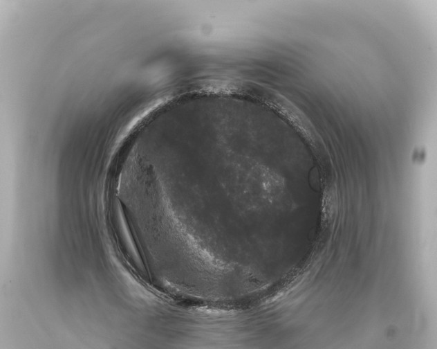 X0000094230722200711021202