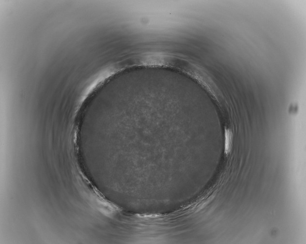 X0000094230723200711021202