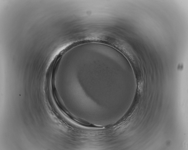 X0000094230724200711021202