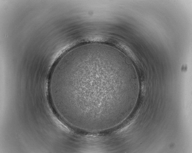 X0000094230725200711021202