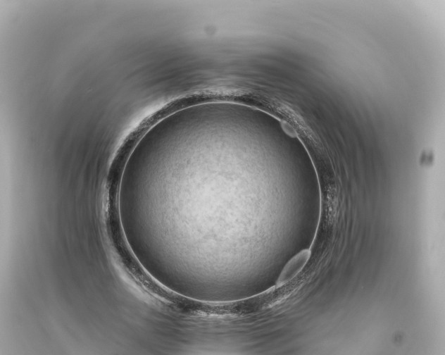 X0000094230726200711021202