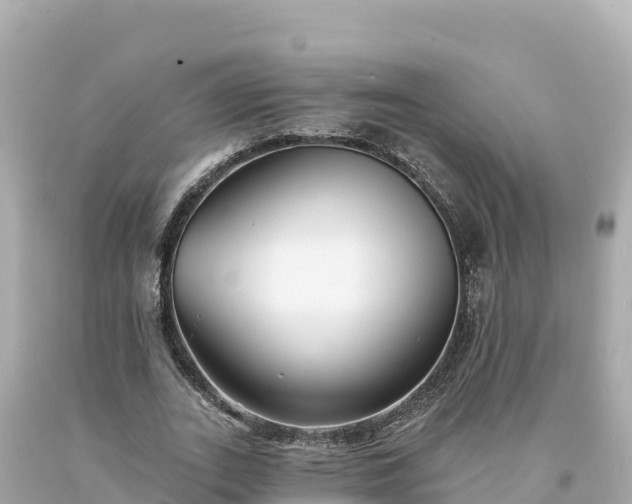 X0000094230727200711021202