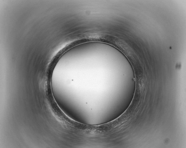 X0000094230728200711021202