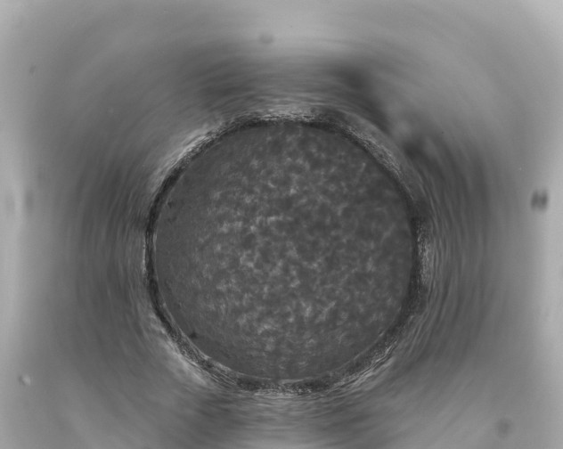 X0000094230729200711021202