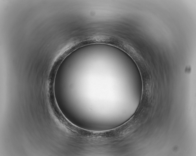 X0000094230730200711021202