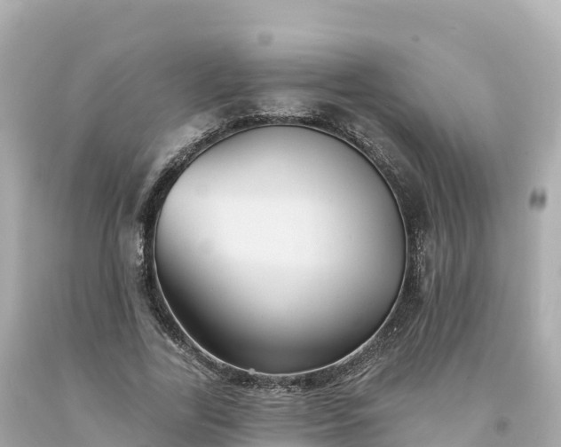 X0000094230731200711021202