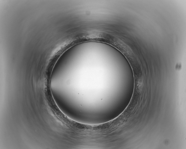 X0000094230732200711021202