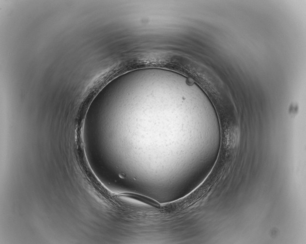 X0000094230733200711021202